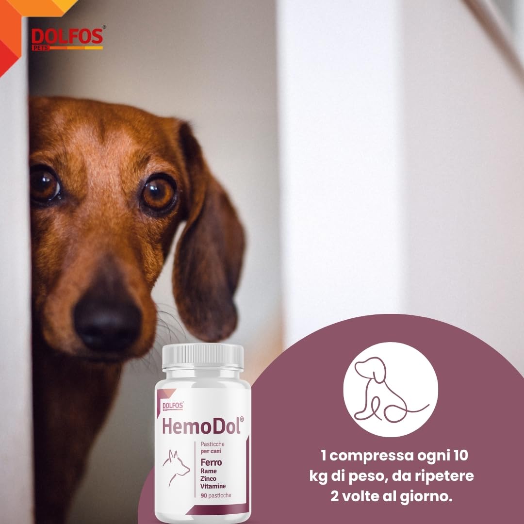 Pets Dolfos Hemodol 90 Compresse - Supporto complementare Cane e Gatto per Anemia - Formula avanzata contro la carenza di Ferro - Contiene Ferro, Rame Zinco e Vitamine