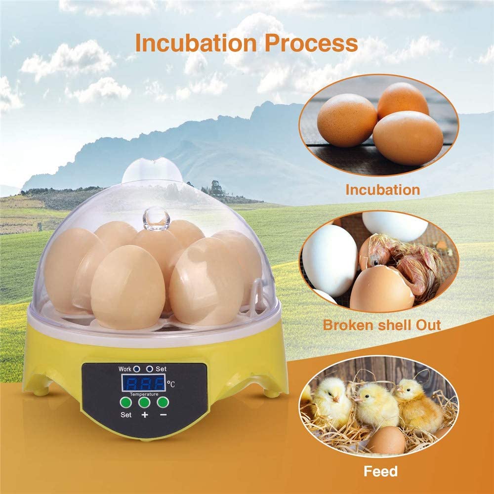 Incubadora digital de huevos totalmente automática, mini incubadora de huevos de pollo, codorniz, pavo, 10 incubadoras pequeñas semiautomáticas, talla única