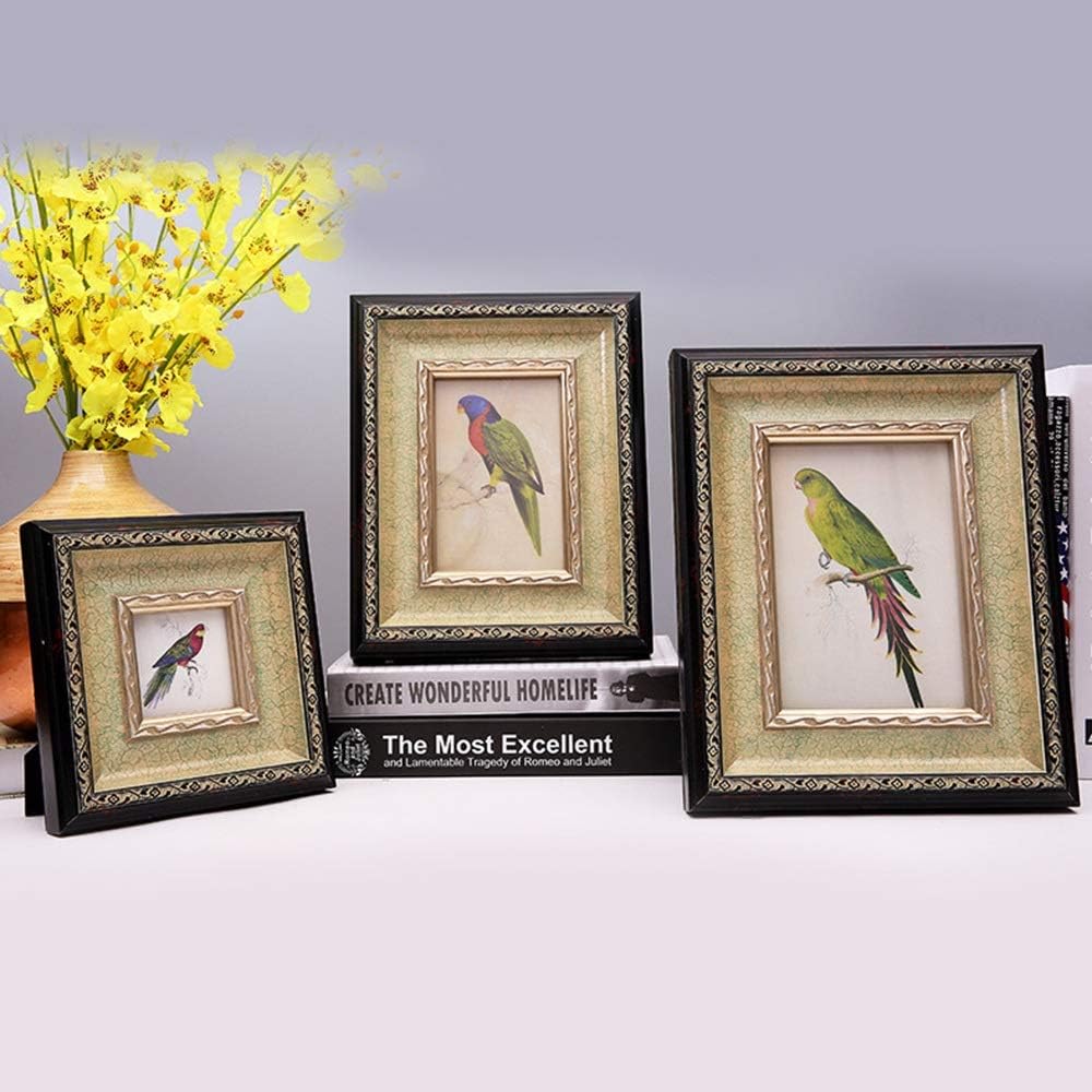 foto puntello per cani