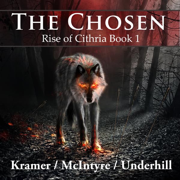 Cover art for The Chosen: Rise of Cithria Book 1