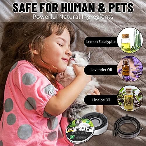 Cat Flea and Tick Collar, 8 Months Effective Protection Multi-coloured Waterproof Adjustable Cat Flea Collar Natural Safe Flea Tick Treatment for Kittens Cats Puppies