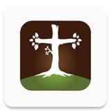 audio MiEFREE