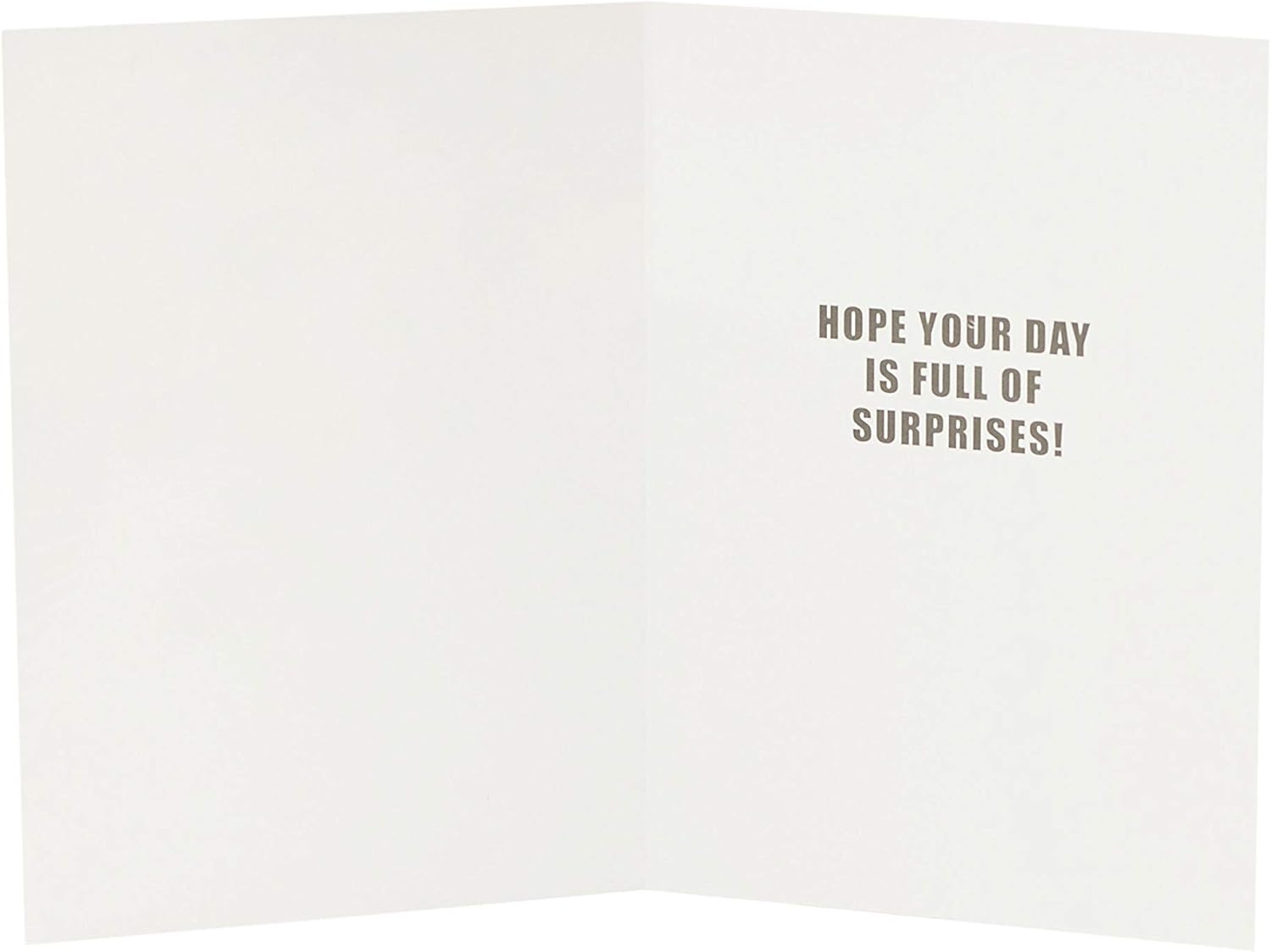 UK Greetings Funny Birthday Card - Funny Birthday Card For Friend - Friend Birthday Card - Birthday Card For Him - Birthday Card For Her - Funny Birthday Card With Meme