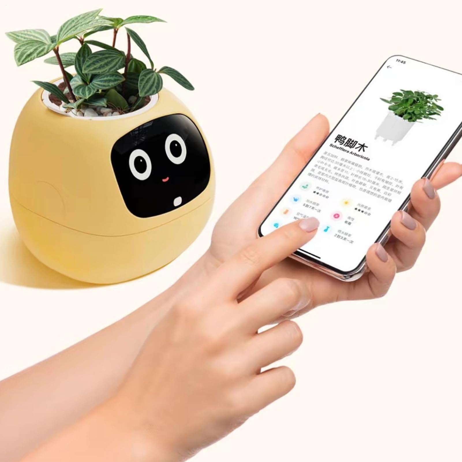 Maceta Inteligente con Asistente IA Jardineras Con IA Inteligente Para | Tiesto Pequeño Para para Interiores Principiantes Día de la Madre Jardín Balcón Dormitorio
