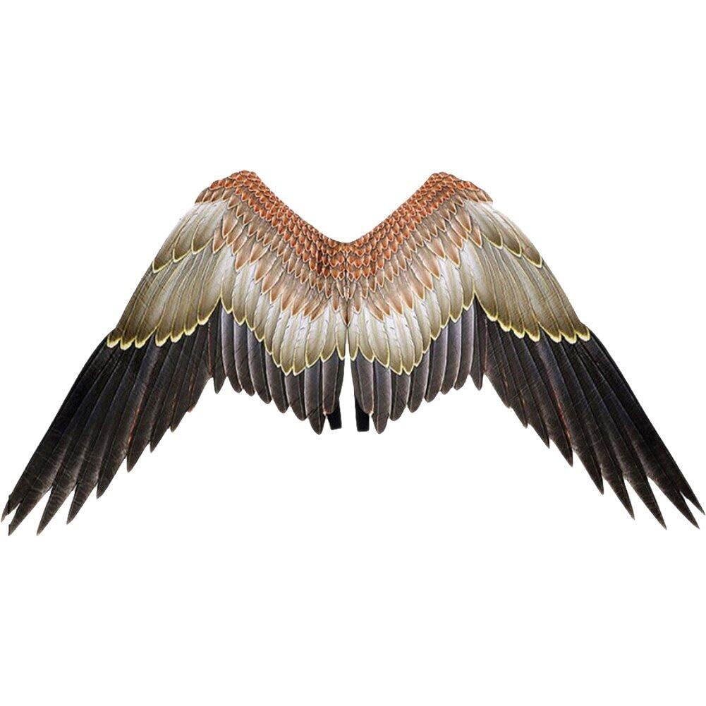Ailes de dragon de cosplay idée cadeau originale pour anniversaire et fête