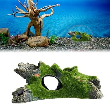 流木の置物 61UefomYVNL._AC_UF350,