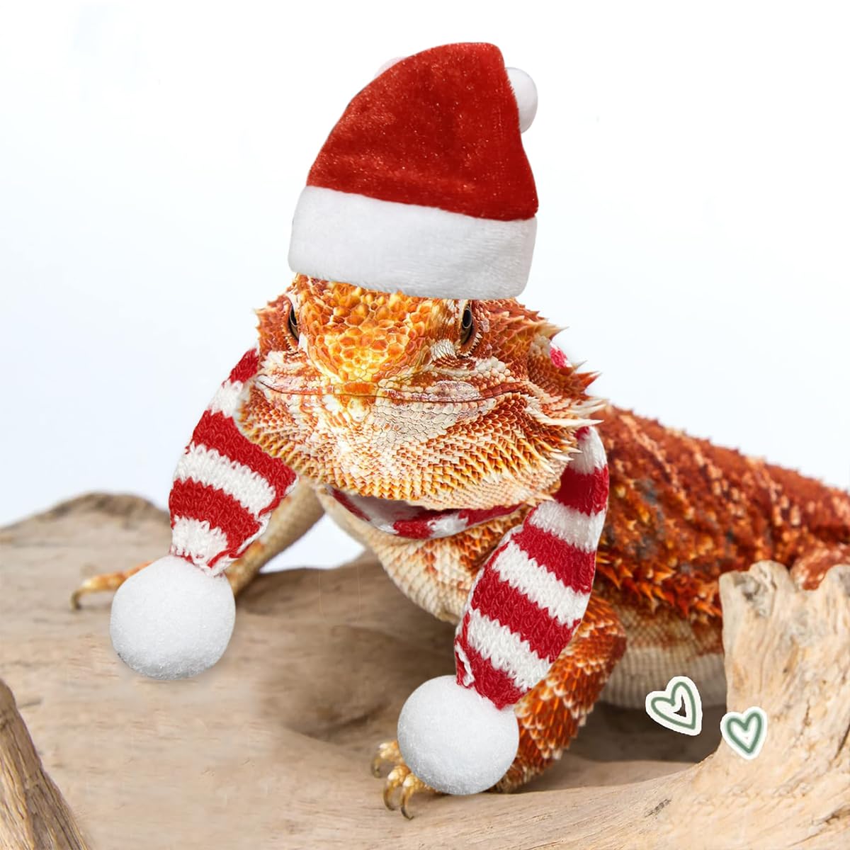 Bearded Dragon Santa Hat and Scarf Set Adjustable Christmas Costume for Small Animals Gecko Chameleon Juvenile Iguana Lizard Reptile (Red) - Image 3