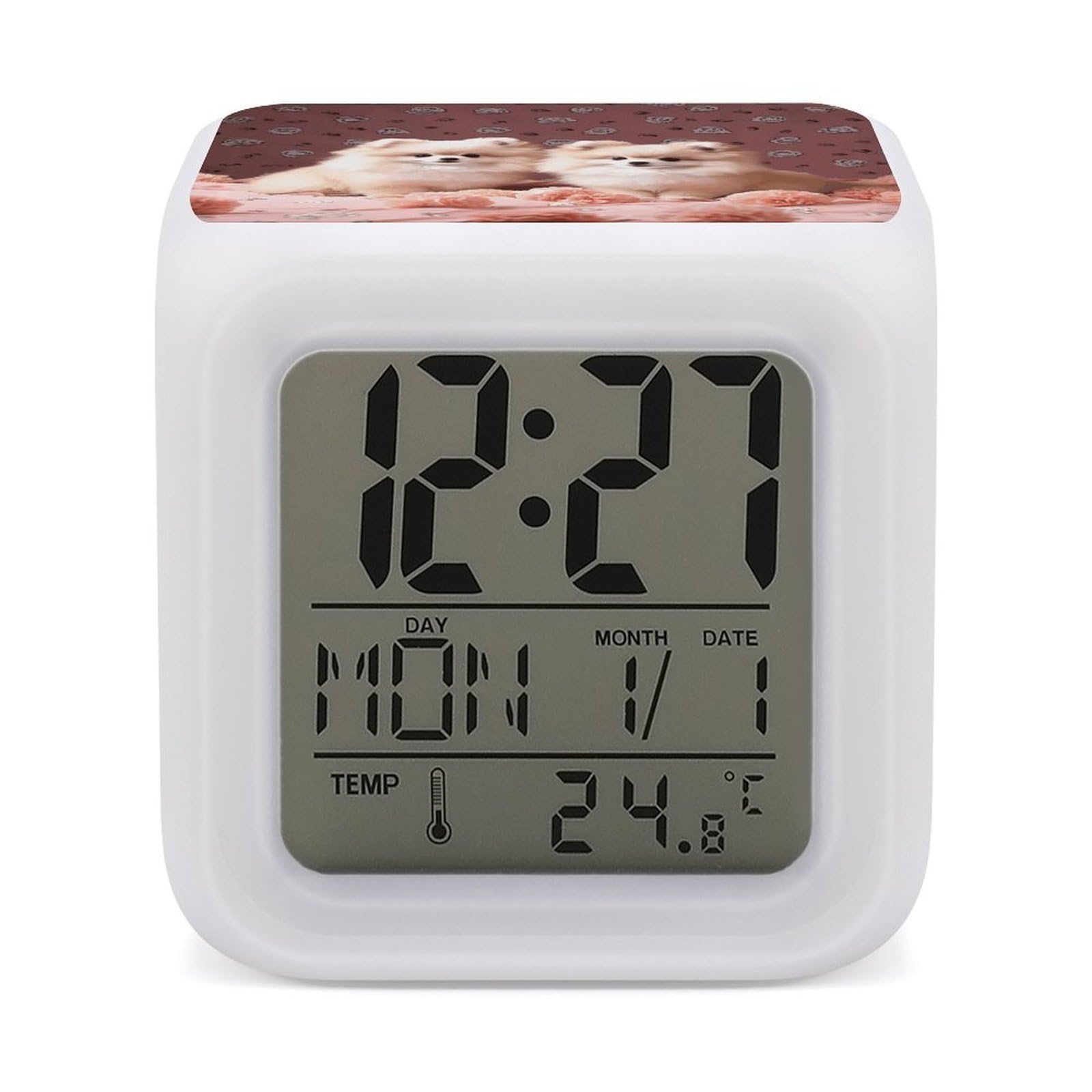 VstaDank Pomeranians Puppies and Point Alarm Clocks with 7 Color Changing Night Light Exquisite Bedroom Digital Clocks with LED Temperature Display Desk Clock Ok to Wake Clocks for Heavy Sleeper