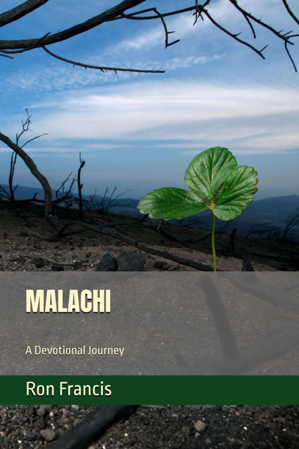 MALACHI: A Devotional Journey (Ronnie's Devotional Journey Through Scripture)