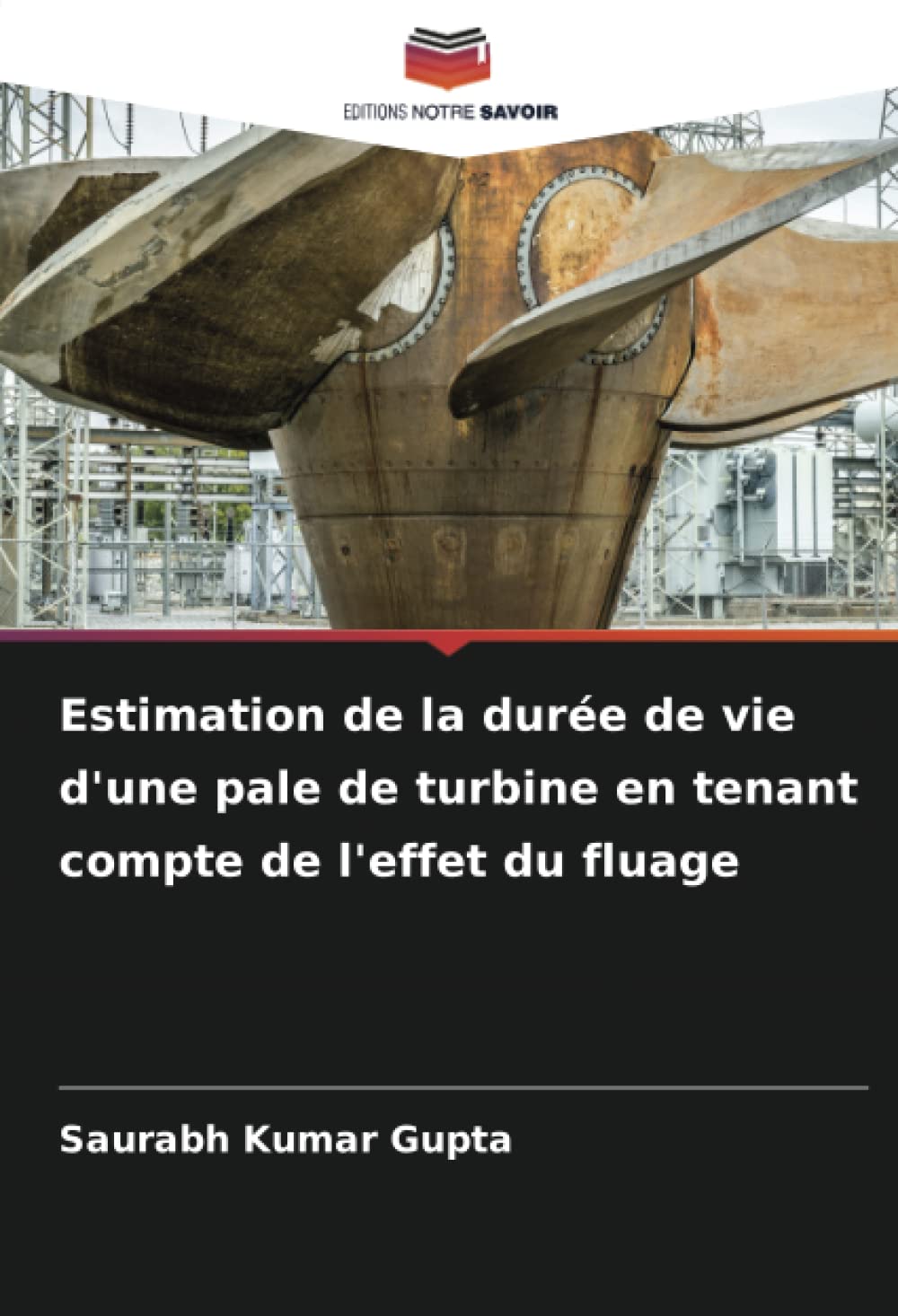 Estimation de la durée de vie d'une pale de turbine en tenant compte de l'effet du fluage