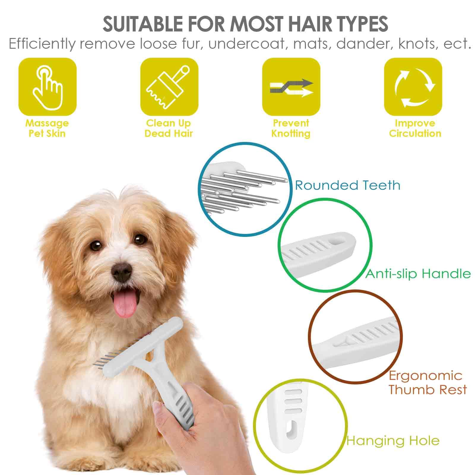Best Brush For Short Hair Dachshund - What To Choose?