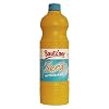 BAUTZNER Mustard Medium Sharp - Set of 2 2 x 1000 ml Bottle of Medium Hot Mustard - Original Bautzner Formula Since 1955 - No Added Preservatives and Flavor Enhancers - Mustard