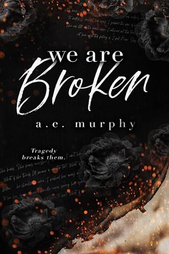 BROKEN: WE ARE BROKEN - Tragedy Breaks Them (A Taboo Romance- brother-in-law)