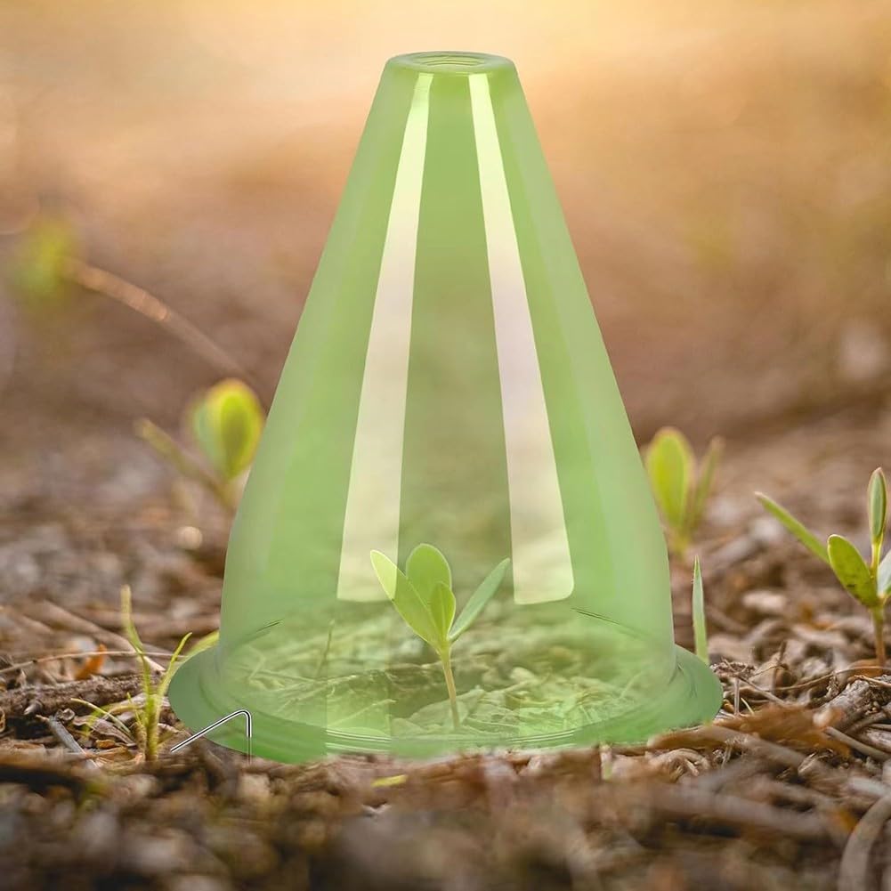 Lot de 12 cloches de protection pour plantes, vertes et transparentes, cloches de jardin pour plantes, dômes réutilisables
