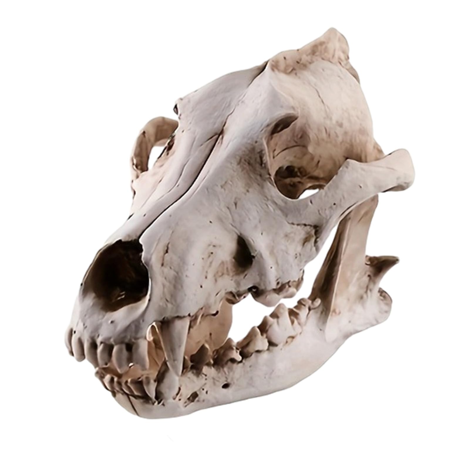 tabecou Skeleton Ornament, Outdoor Patio Desktop Decor, Resin Carved Realistic Bone Texture Halloween Figure