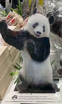 パンダ自身フェス　シャンシャン　ハンガー パンダ自身 pandajisin on X: 