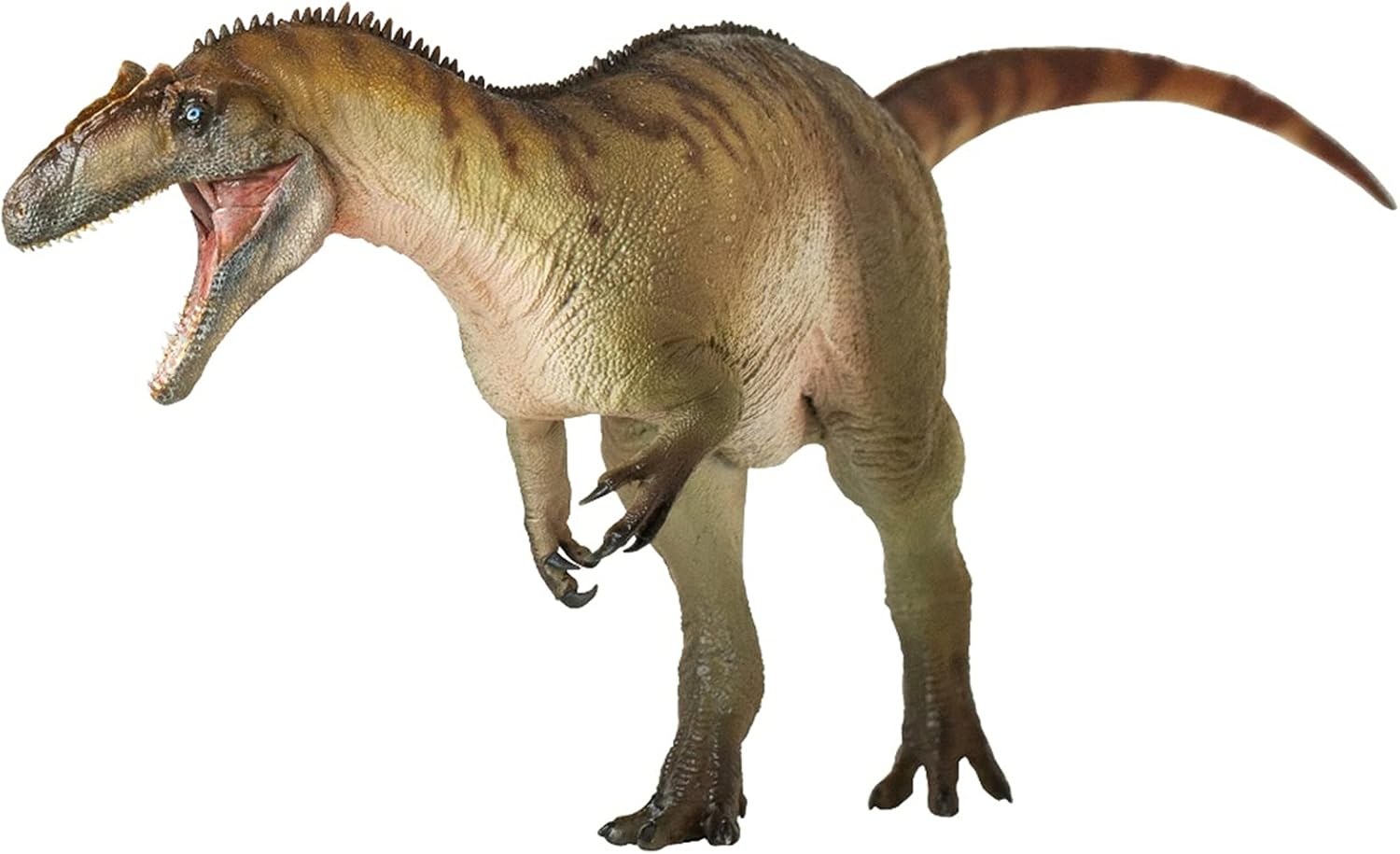 Pnso 成長シリーズ 45 アロサウルス 恐竜 フィギュア フィギュア ドール 通販 Amazon