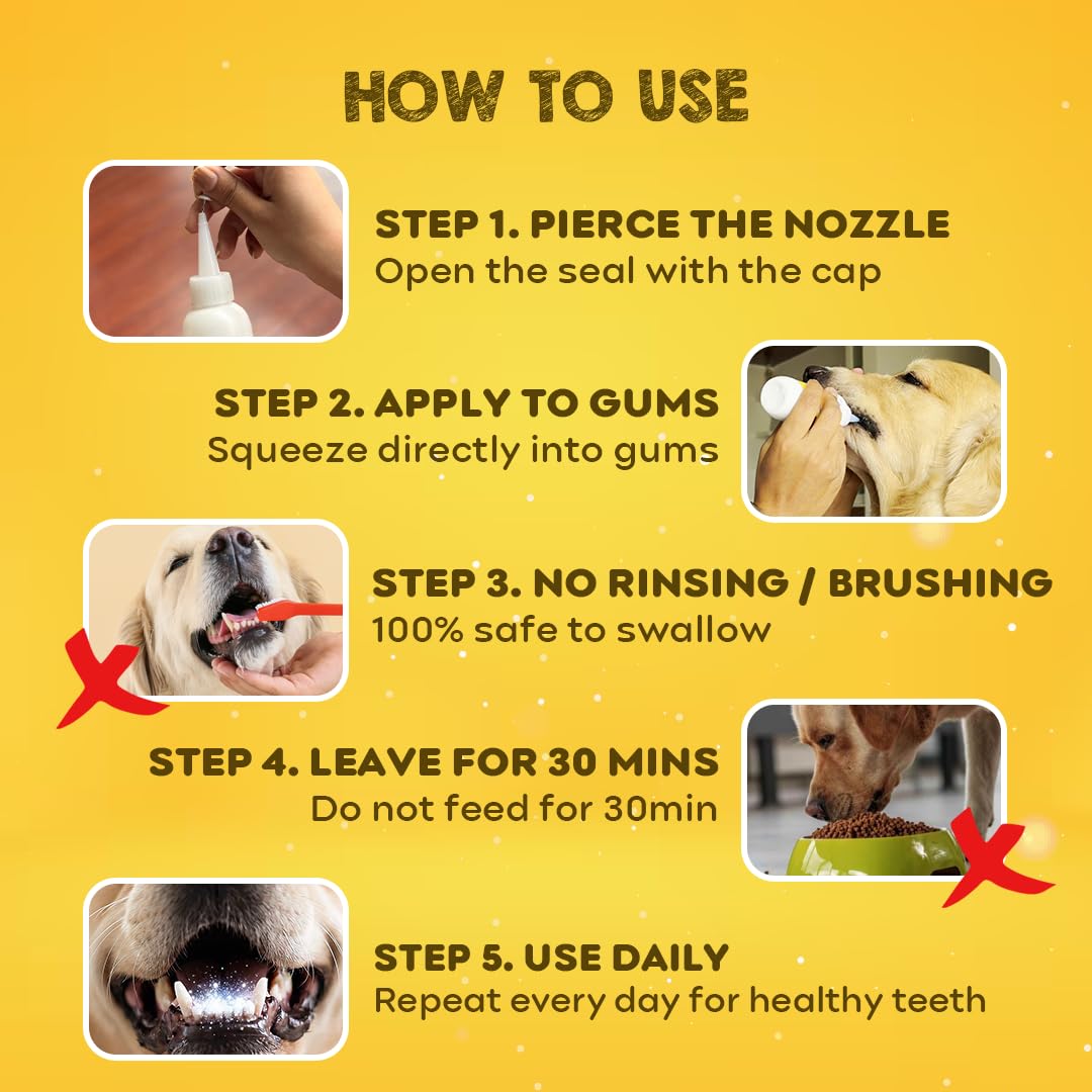 pil Pet Denta Gel Toothpaste for Dog & Cat with Mint, Green Tea Extract & Clove Oil |Fights Gum Diseases, Removes Plaque & Controls Bad Breath| Squeeze Only- No Brushing, No Rinsing (100Gm). 2
