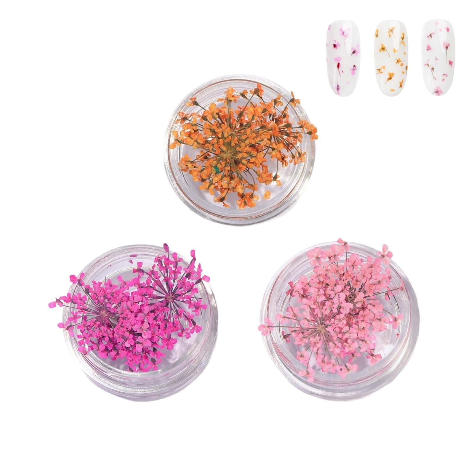 Fleurs Séchées Ongles Naturelles 3 Pièces Fleur Seche Nail Art Pour Résine UV Deco Ongle 3D Autocollants Pour DIY Manucure Accessoires Ongles Créatifs