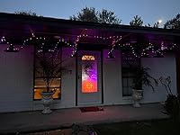 Review Image by Mackenzie Mackenzie