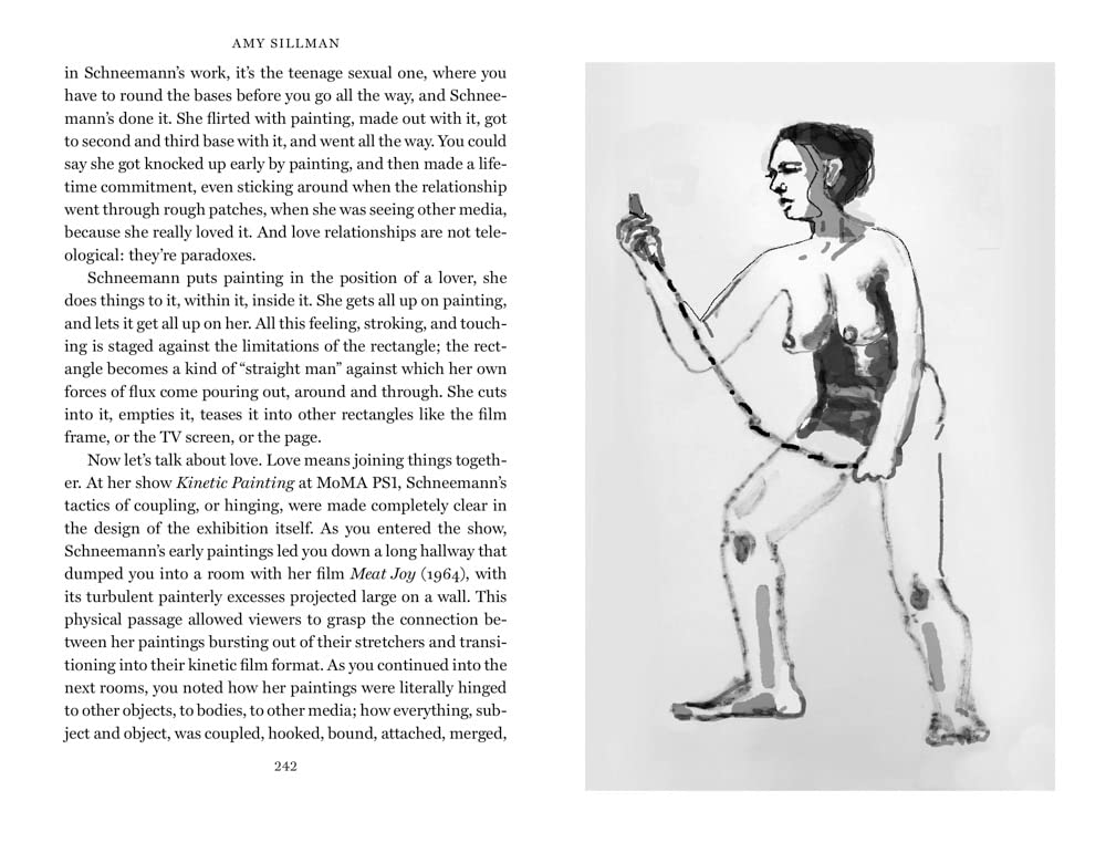 Faux Pas. Selected Writings and Drawings of Amy Sillman /anglais