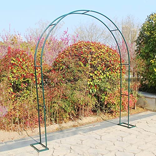 Arche de rose en métal robuste, treillis de jardin pour mariage, pergola, concombre et légumes, disponible en 8 tailles – Couleur verte, décoration de...