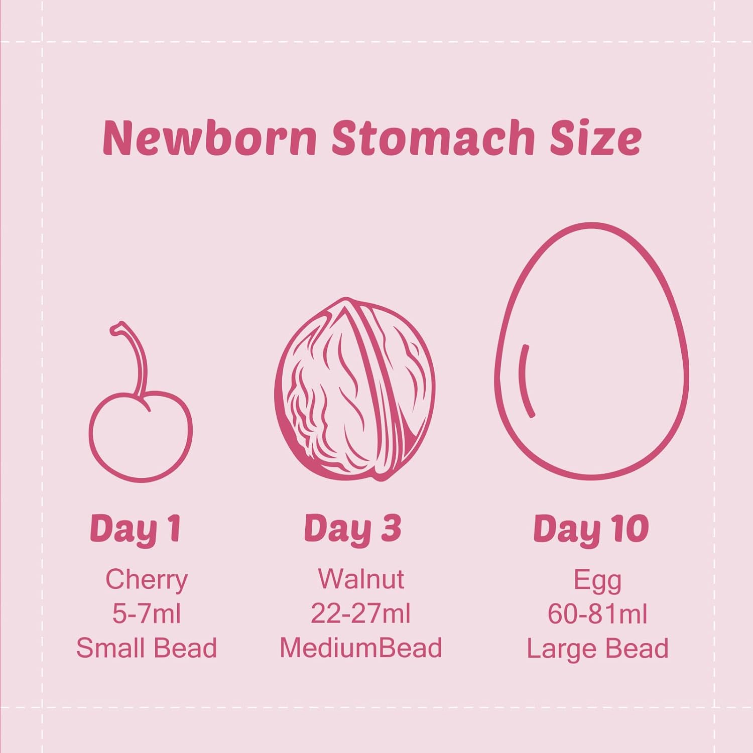 Breastfeeding Baby Belly Beads Stomach Shape Necklace, Visual Teaching Tool for Lactation Consultants, Ideal for Nurses Providing Insights on Estimated Infant Stomach Size
