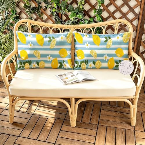 Coussin décoratif haut de gamme 40x80 imperméable imprimé citron double face - 4