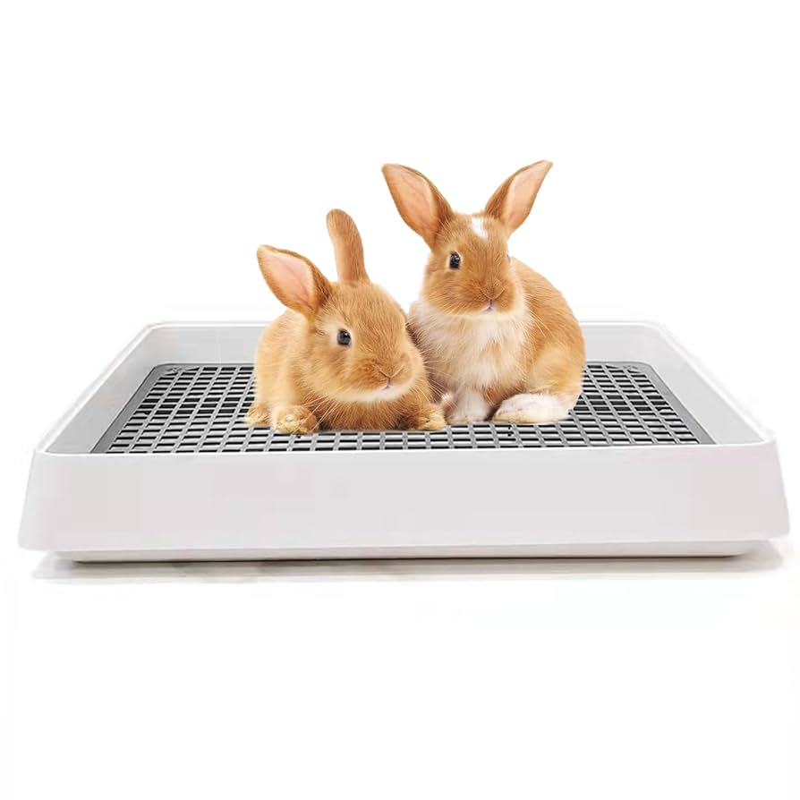 ウーリー　wooly 麦　450g×2袋　【2023年度】うさぎ　モルモット 5633-202508-01-02.jpg?1