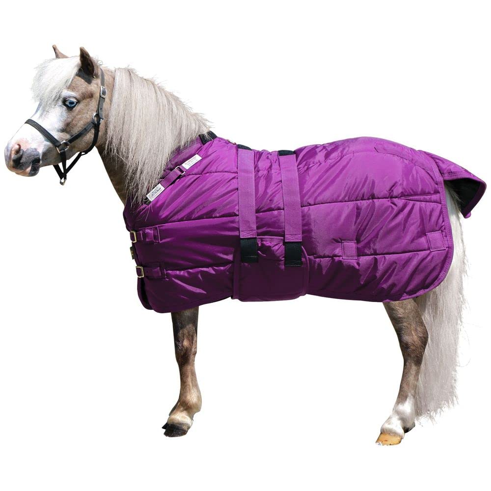 Adjusta Fit Dura-Nylon Open Front Miniature Horse Stable Blanket | Color Purple | Size 38 | Perfect for Miniature Horses | Customizable Fit | Warm & Comfortable | Durable and Easy Maintenance