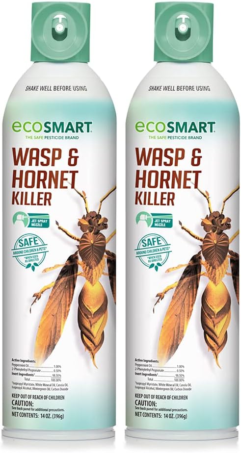 EcoSmart Wasp & Hornet Killer 14 oz. Aerosol (2 Pack)