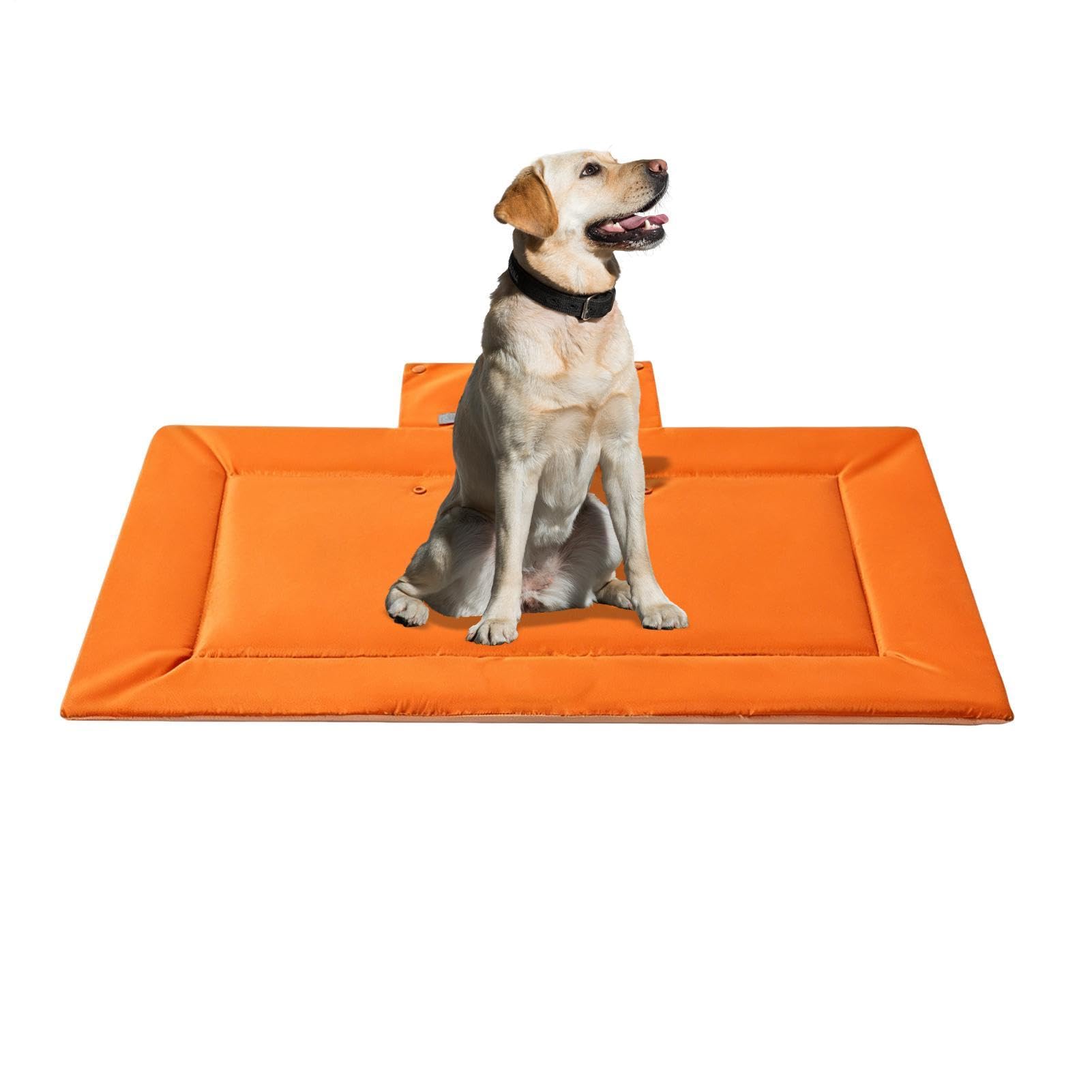 Cojín para mascotas plegable alfombra viaje perro razas medianas y pequeñas