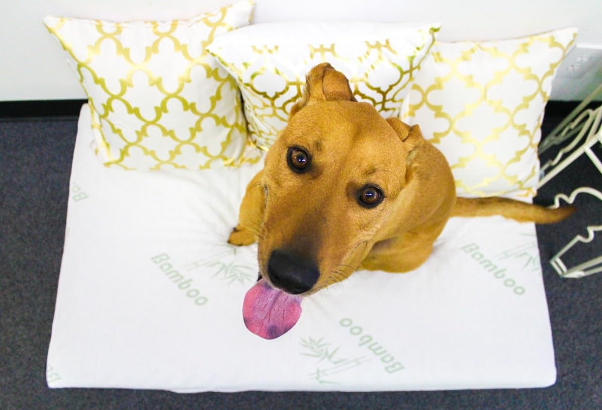 PETIQUE MM01900005 Eco-Friendly Bamboo Memory Foam Pet Bed, Natural, Medium 4