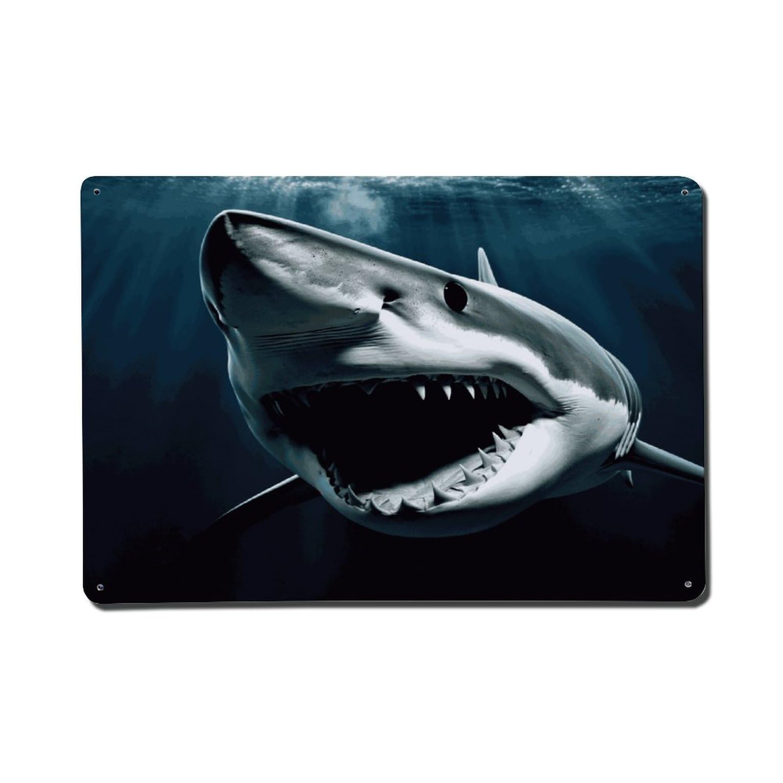 Adfgyerh Style Shark Metal Signs Funny, Aluminum Tin Sign Indoor Outdoor Decor, Vintage Signs For Home Office Kitchen Bar Cafe Garden Farmhouse Wall Decor