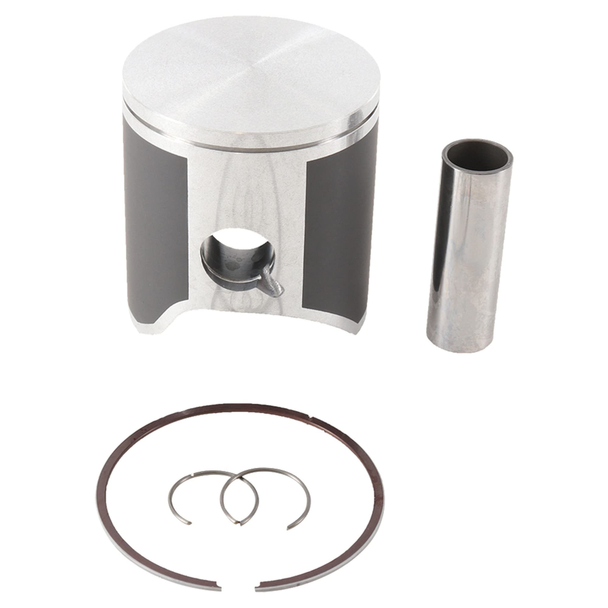 Every Day with Zippy