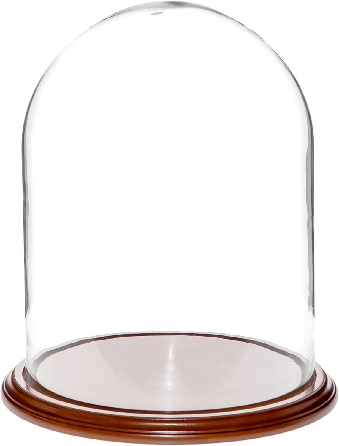 Plymor 11.75" x 15" Glass Display Dome Cloche (Walnut Veneer Base)