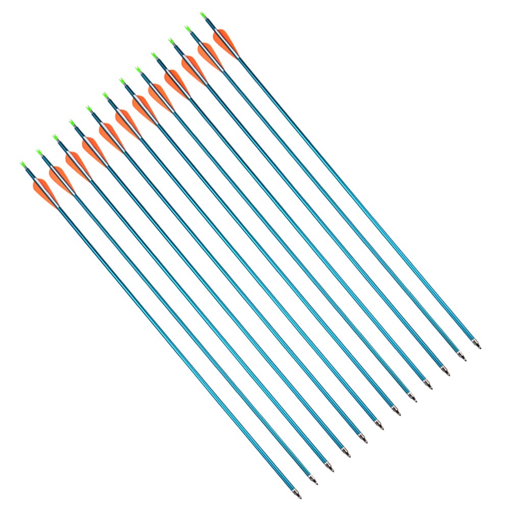 12pcs 31 Pulgadas Flechas de Aluminio Tiro con Arco Flechas de Arco de Caza de Práctica de Puntería Spine 500 con Punta de Flecha Enroscada para Arco Compuesto y Arco Recurvo