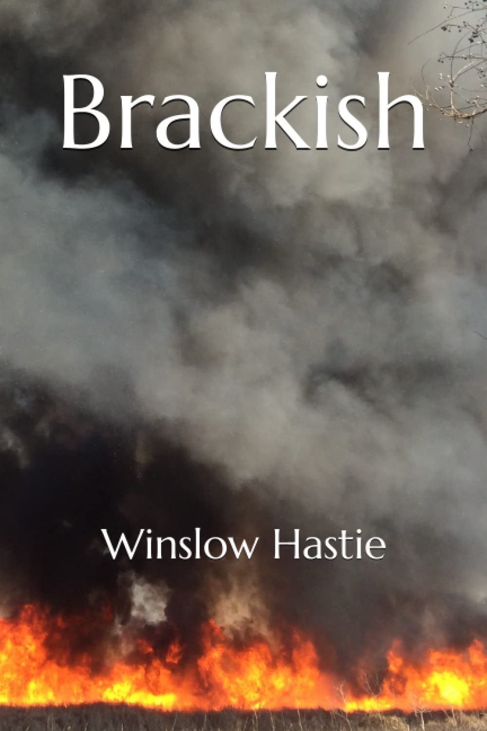 Brackish: Winslow Hastie