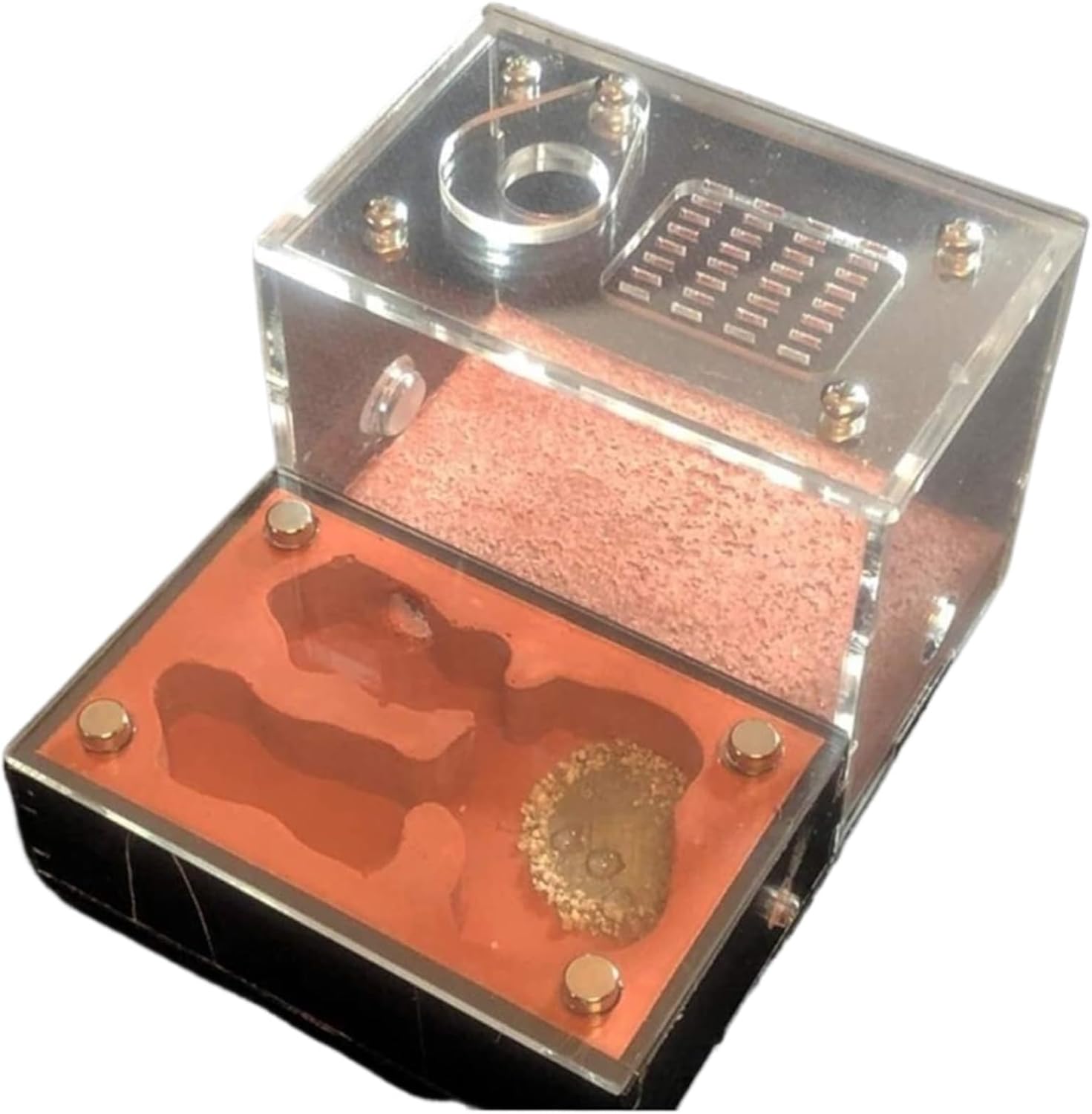 昆虫ヴィラ アリの城 石膏コンクリート 遮光 生態学 アリの巣 農場 換気 ワークショップ アリのテラリウム 科学の学習 アリ飼育キ