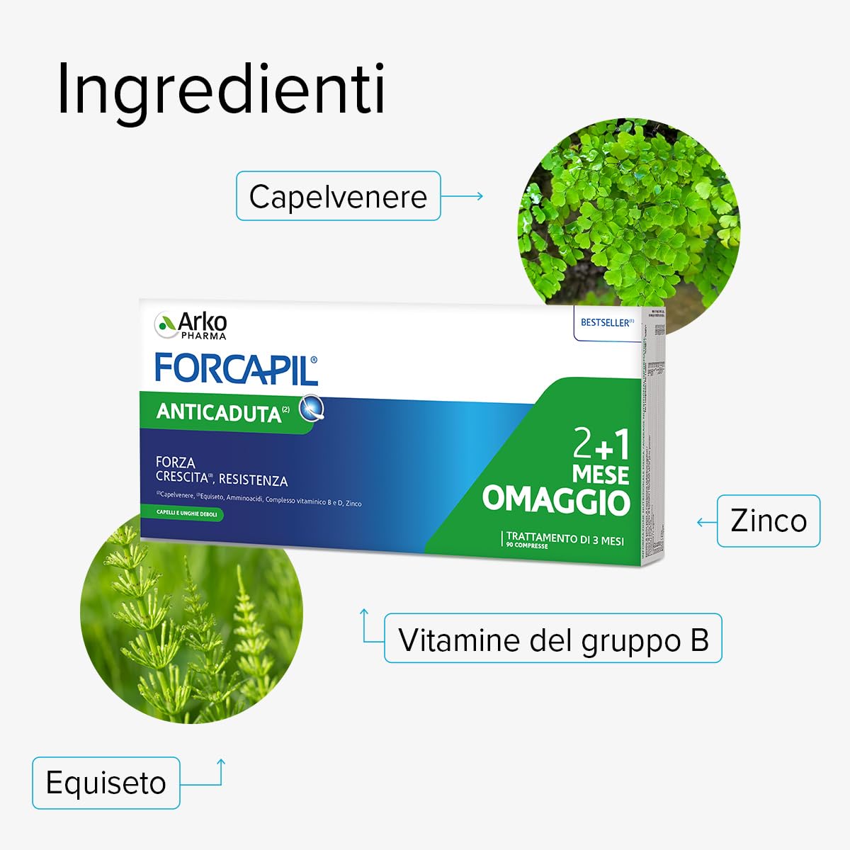 Arkopharma Forcapil Anticaduta | Integratore Alimentare per Capelli - Con Capelvenere, Equiseto, Vitamine B5, B6, B8, B9 e Zinco - 90 Compresse