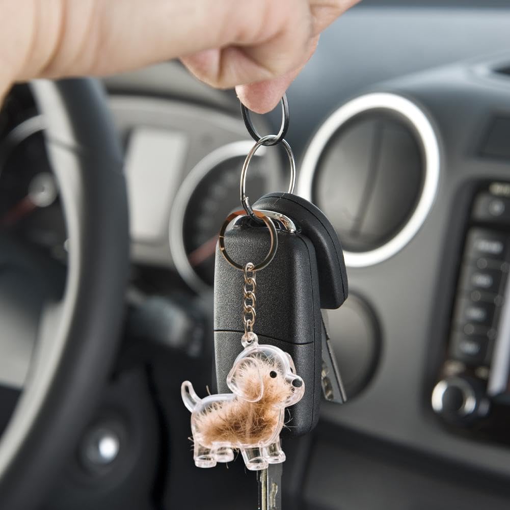 Porte-clés Collecteur De Poils De Chien – Porte-clés En Forme