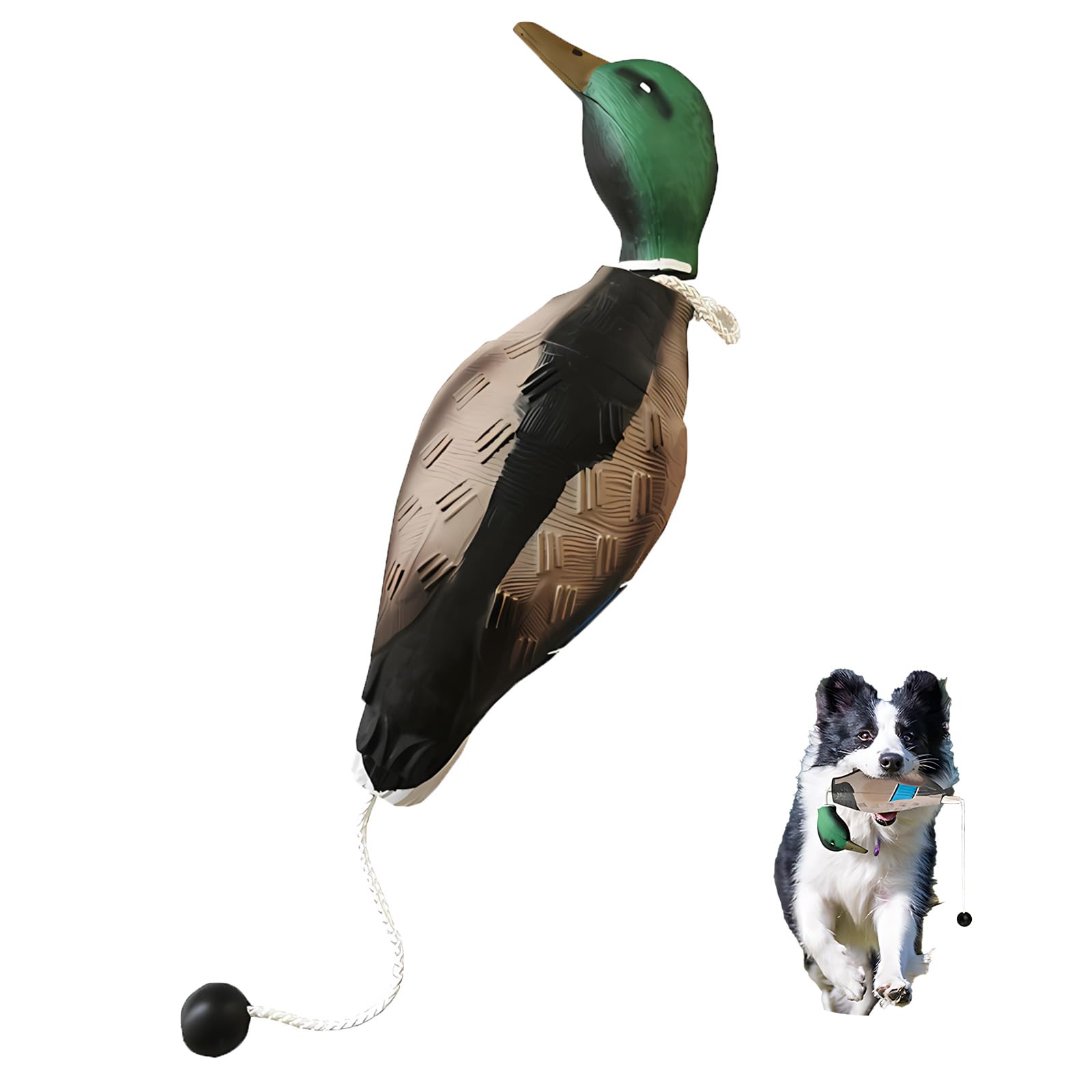 Outil de dressage pour chien Carreuty contre l'ennui