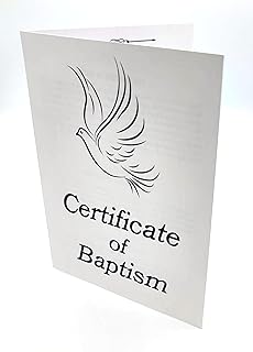 Baptism Pool For Church Picks collage image 4