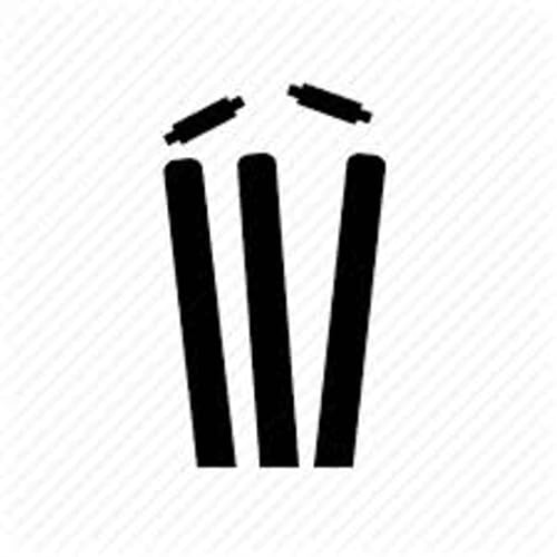 Clean Bowled