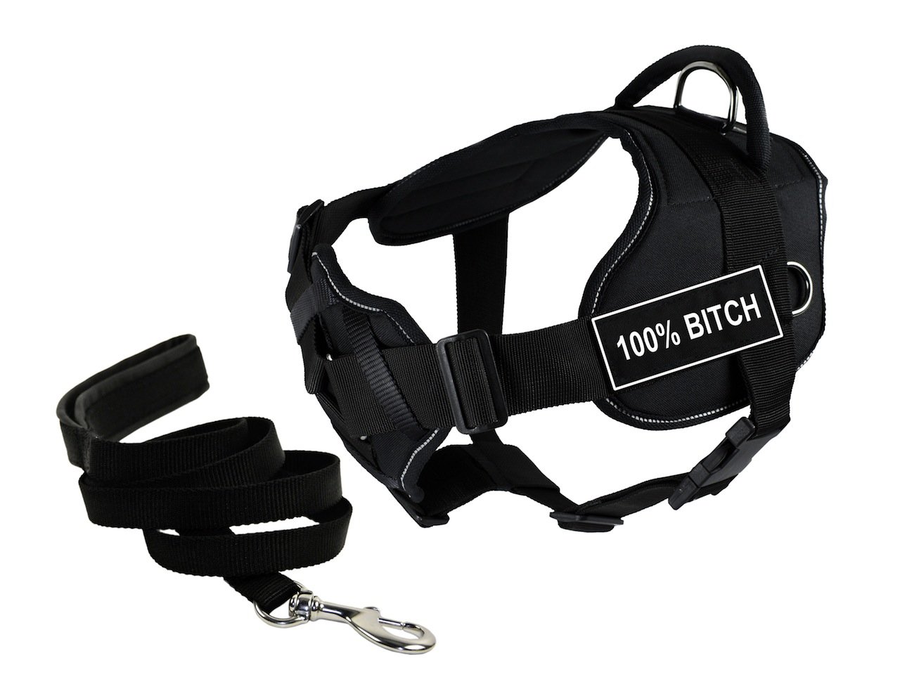 Harnais grand chien Dean & Tyler DT Fun support poitrine et laisse chiot 1,8m