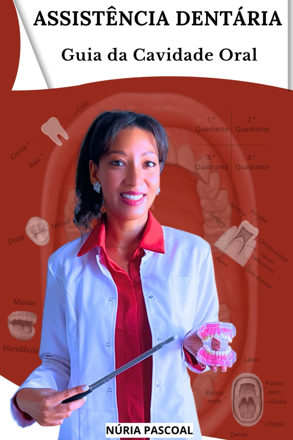 Assistência dentária: Guia da Cavidade Oral