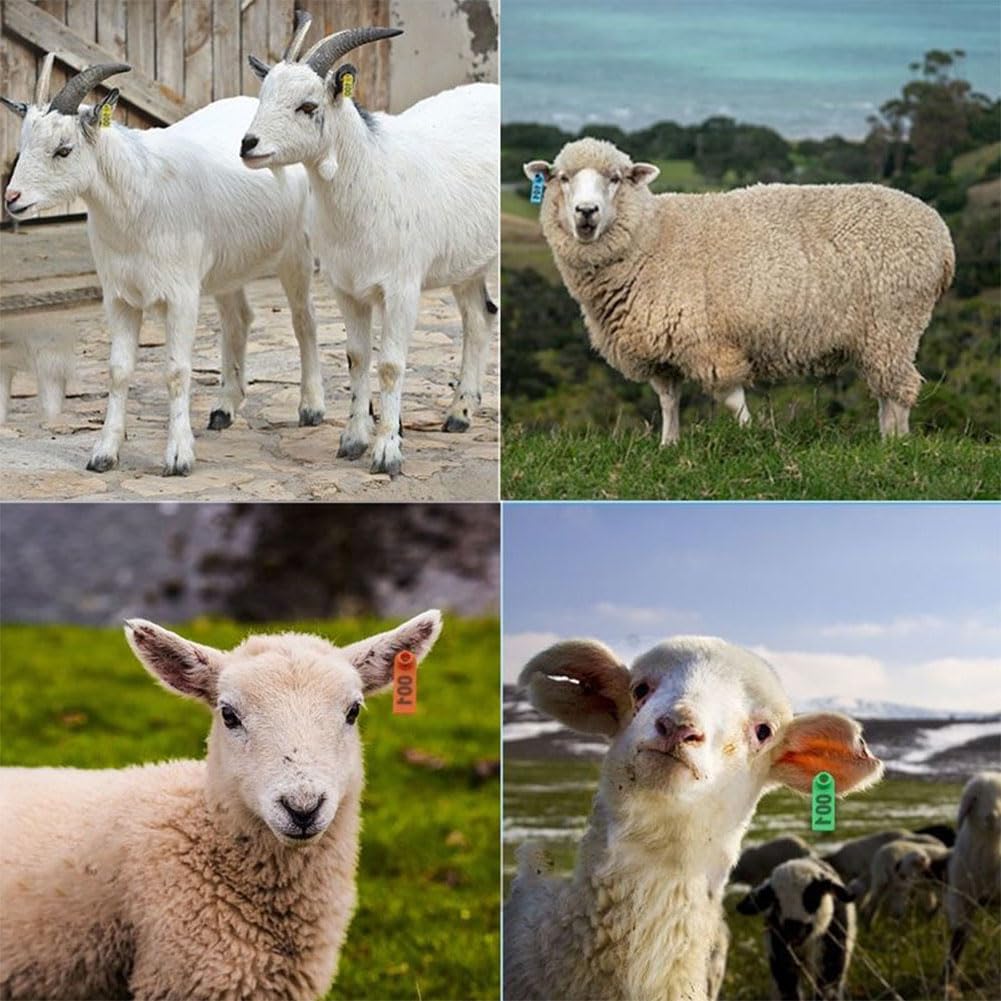 100/200/300/400pezzi di etichette auricolari per bovini,ovini e suini,etichette numerate per orecchini in plastica PE adatte per etichette auricolari di identificazione disuini,bovini,ovini e bestiame