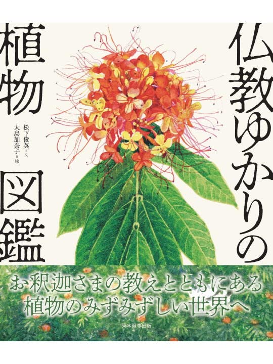 仏教ゆかりの植物図鑑 | 松下俊英, 大島加奈子 |本 | 通販 | Amazon
