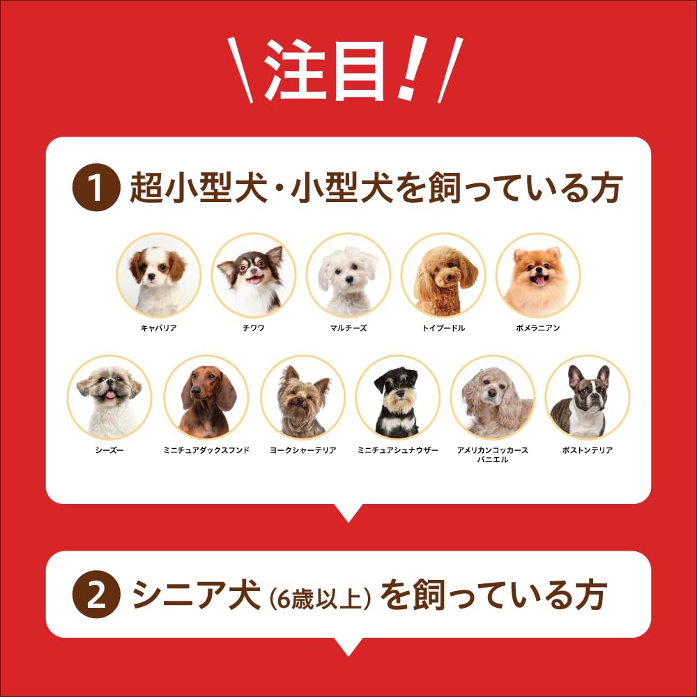 Amazon.co.jp: パンフェノンⓇ ピュア : ペット用品