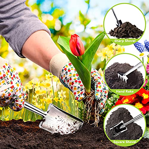 Bonsai Werkzeugset Preciva 13 Teile für die Bonsai-Pflege